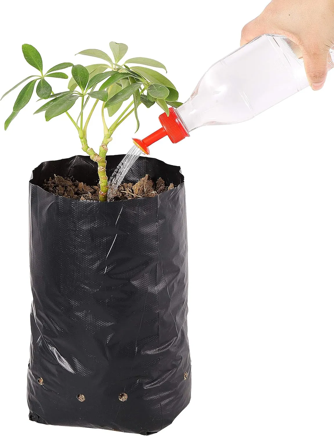 100 Pcs 11.6x4.7 Inches PE Seedling Bag Plastic Plants Nursery Grow Bags Nursing Growing Pouch Tree Seedling Cup Bonsai Plant Bag with 30 Pcs Labels and 2 Pcs Mini Hand Portable Watering Sprinkler