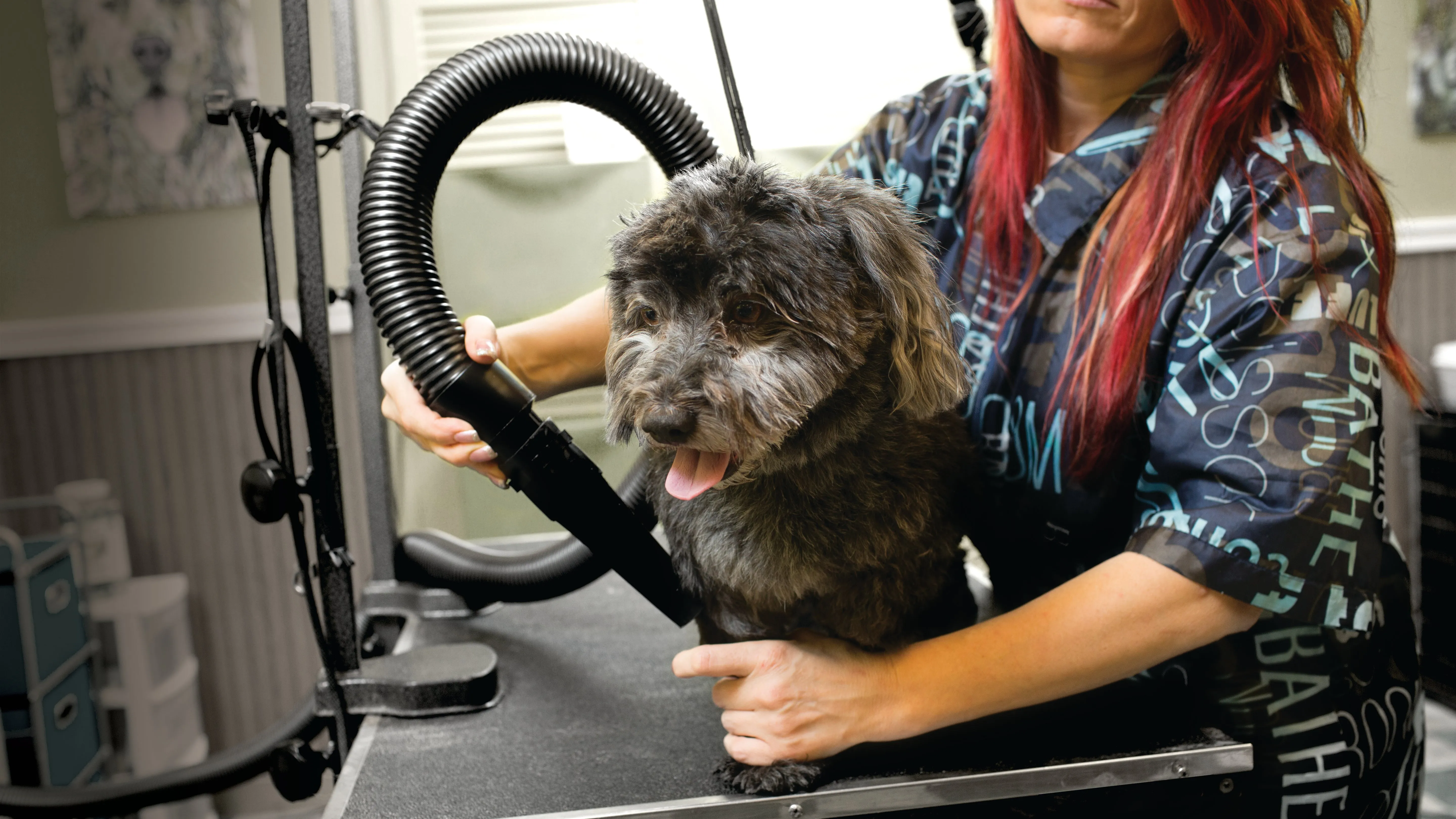 Air Force® Commander® 2 Speed Pet Dryer