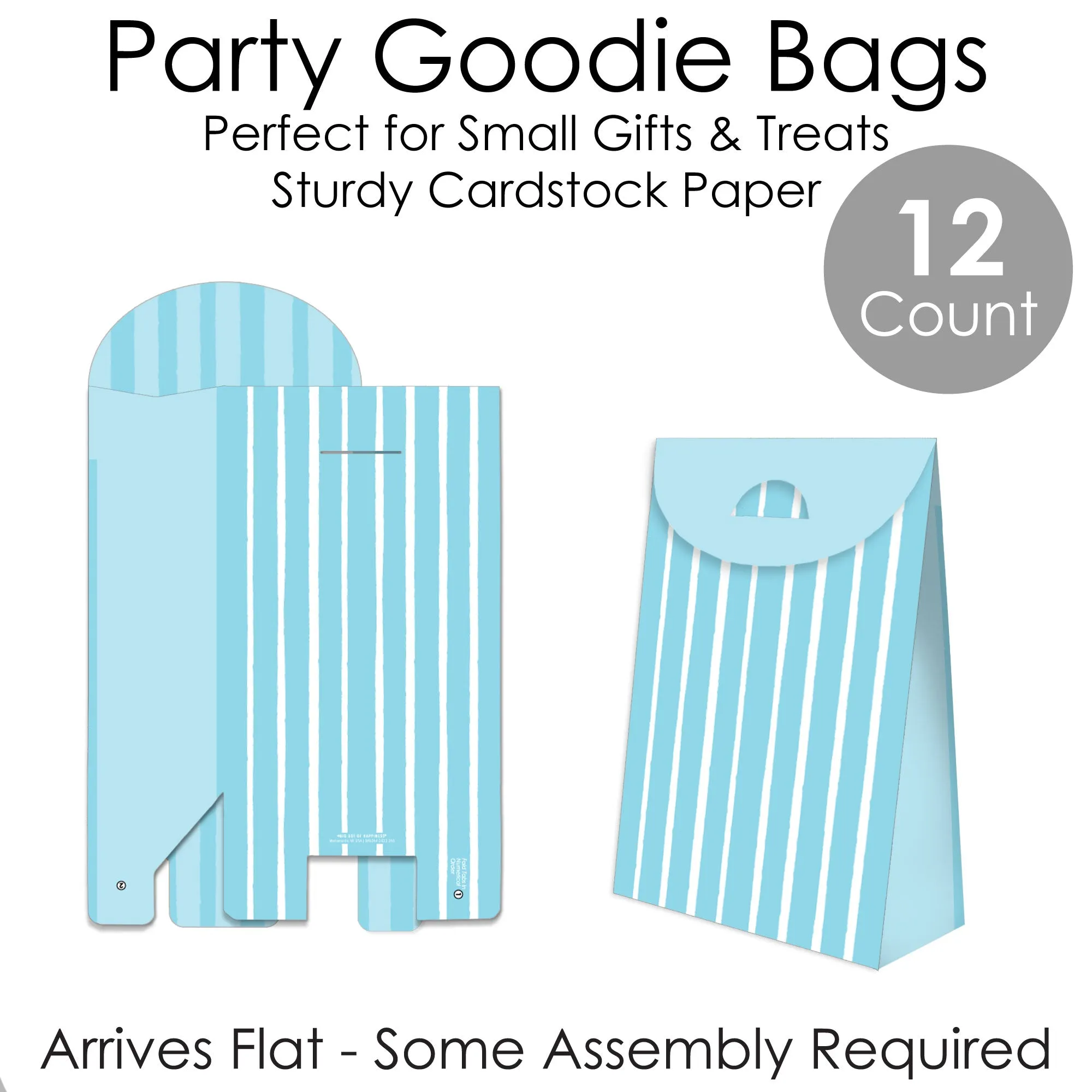 Blue Stripes - Simple Gift Favor Bags - Party Goodie Boxes - Set of 12