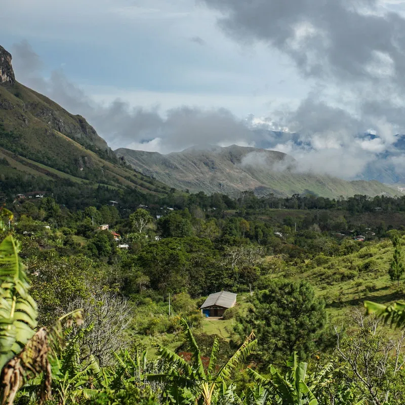 COLOMBIA AZAHAR DECAF