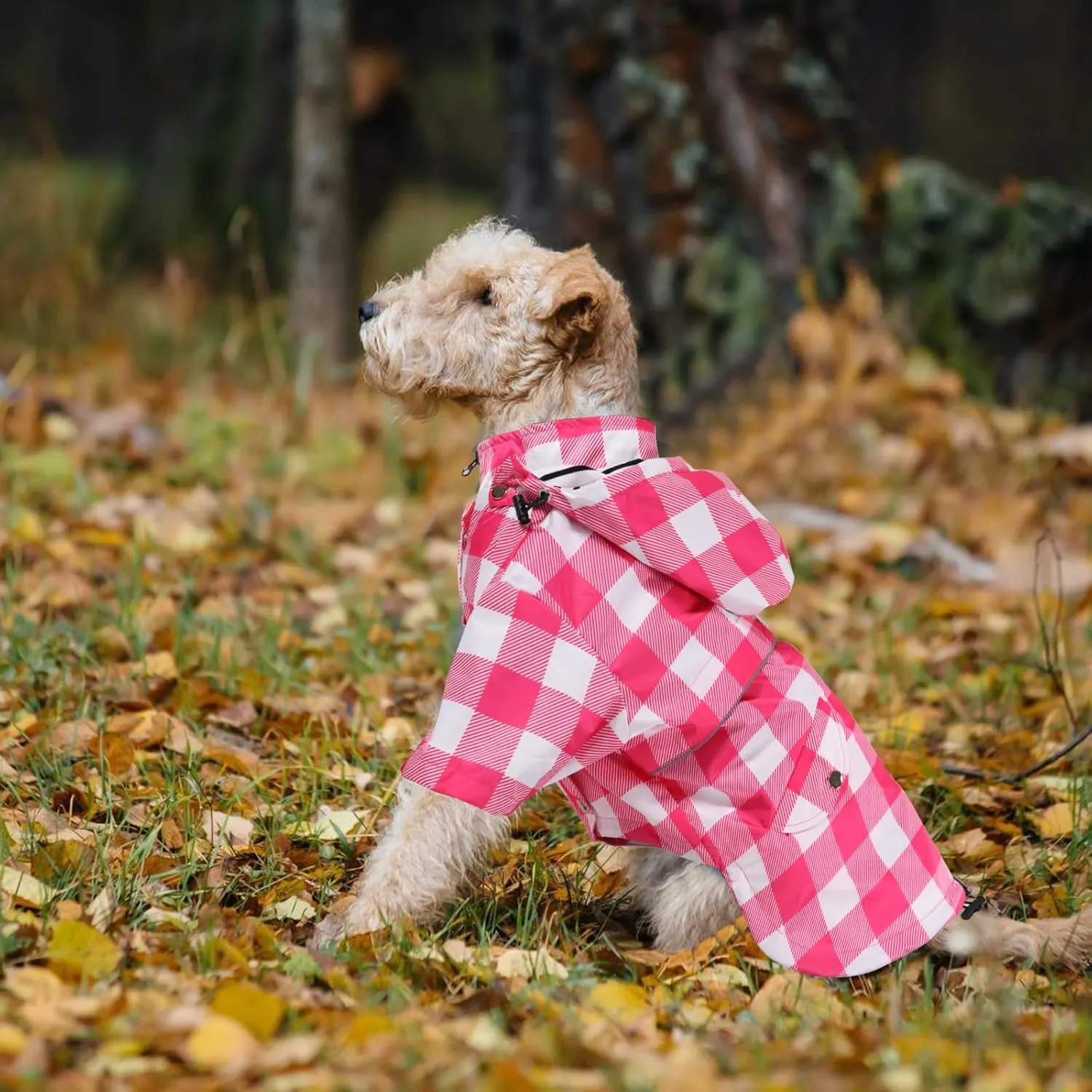 Dog rain Coat Waterproof Raincoat Puppy Jacket with Legs Buttons Zipper Hood Drawstring Fit for Yorkie Terrier Schnauzer Poodle Border Collie Labrador Golden Retriever 8lbs to 80lbs Pink S