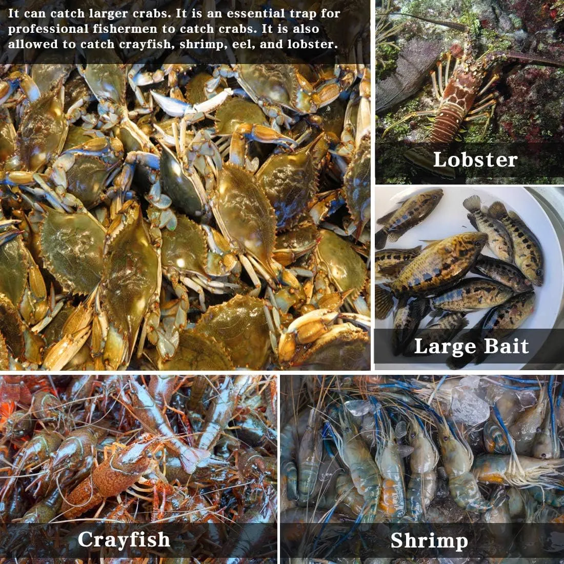Drasry Crab Trap Bait Lobster Crawfish Shrimp Portable Folded Cast Net Magic Collapsible Fishing Traps Nets Accessories for Blue Crabs