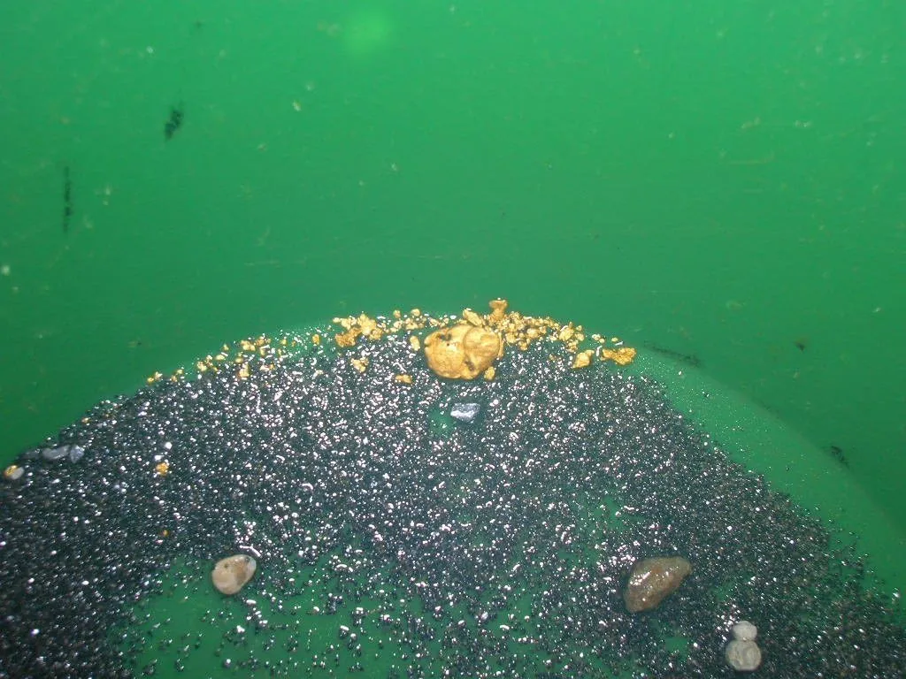 Gold Paydirt 4 LB From Colorado - Unsearched Bags - Pan At Home - Guaranteed Gold