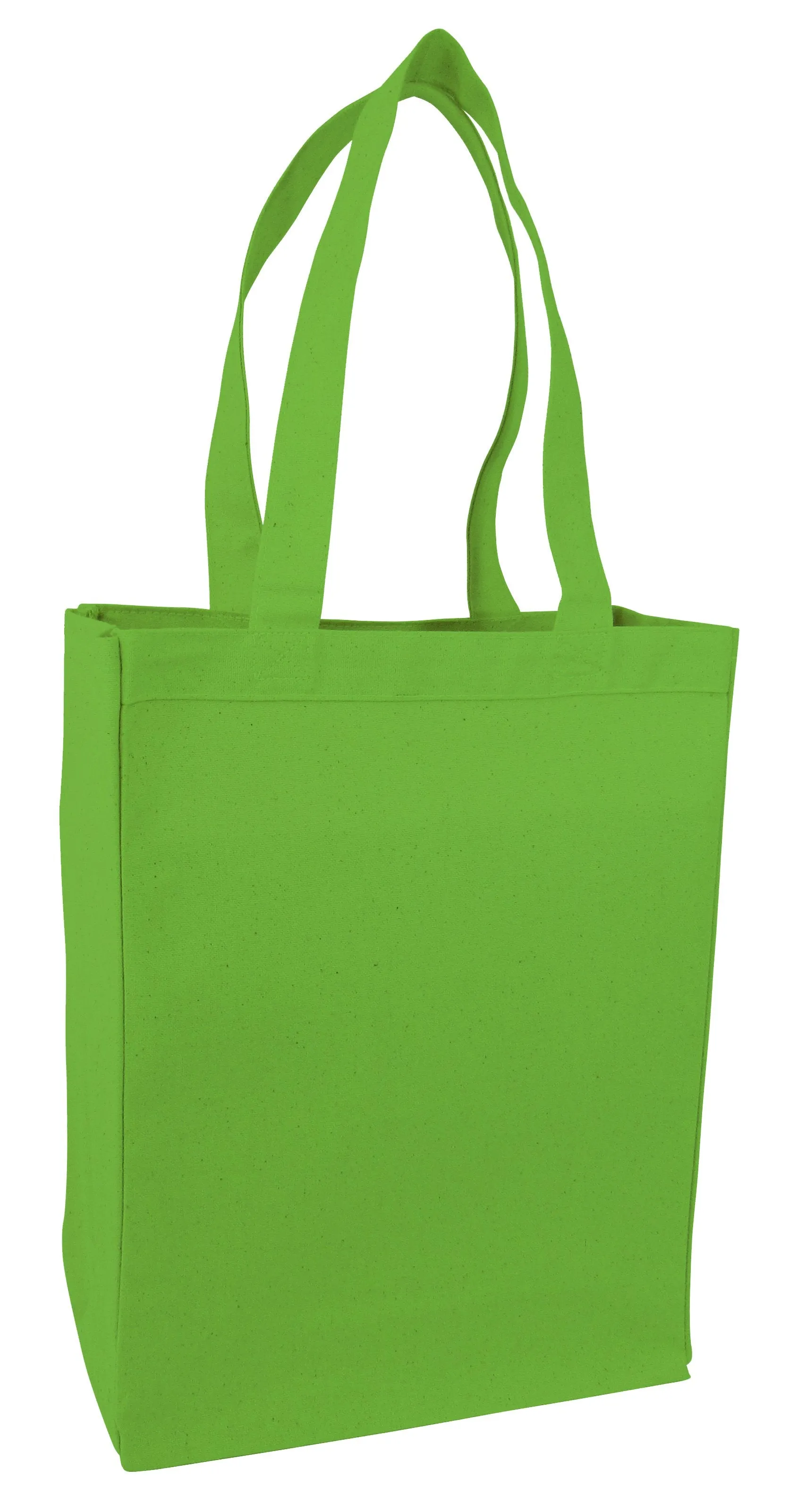 Heavy Canvas Multipurpose Shopping Canvas Bags - TF210