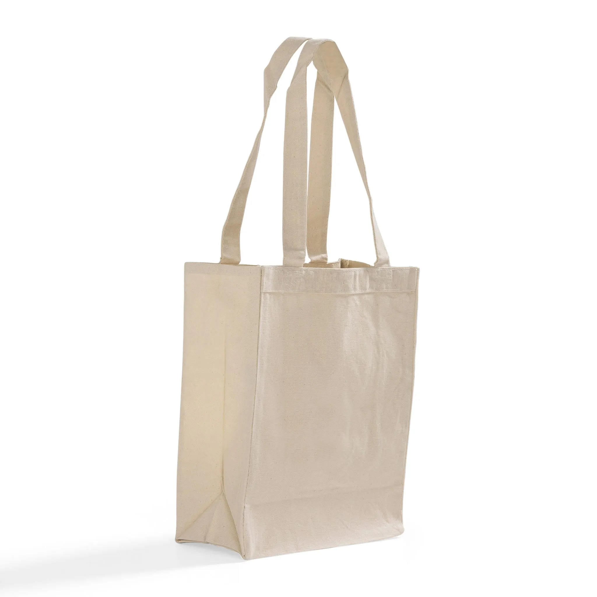 Heavy Canvas Multipurpose Shopping Canvas Bags - TF210