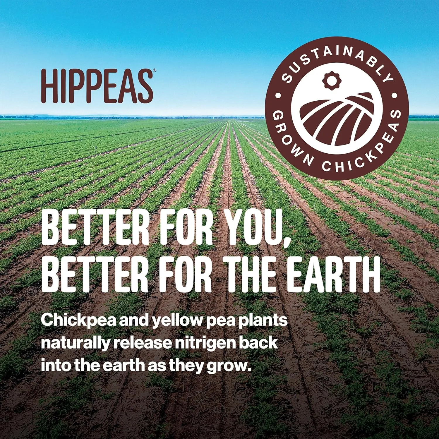 Hippeas Cheezy Cheddar Pops, 0.5 Ounce (Pack of 15), 2g Protein, Fiber, Vegan, Gluten-Free, Crunchy, Plant Protein Snacks