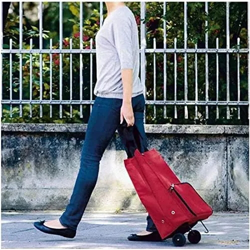 LJYT Shopping Cart Folding Shopping Bag Shopping Cart On Wheels Bag Small Pull Cart Buy Vegetables Bag Shopping Organizer Tug Package Grocery Cart (Color : 01)