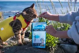 PureBites Freeze Dried Tuna Cat Treats