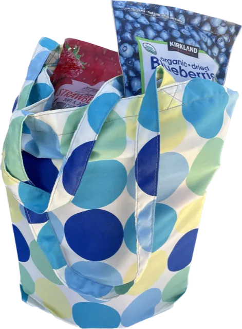 TS- Big Dot Travel Shopper