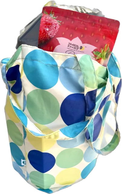 TS- Big Dot Travel Shopper