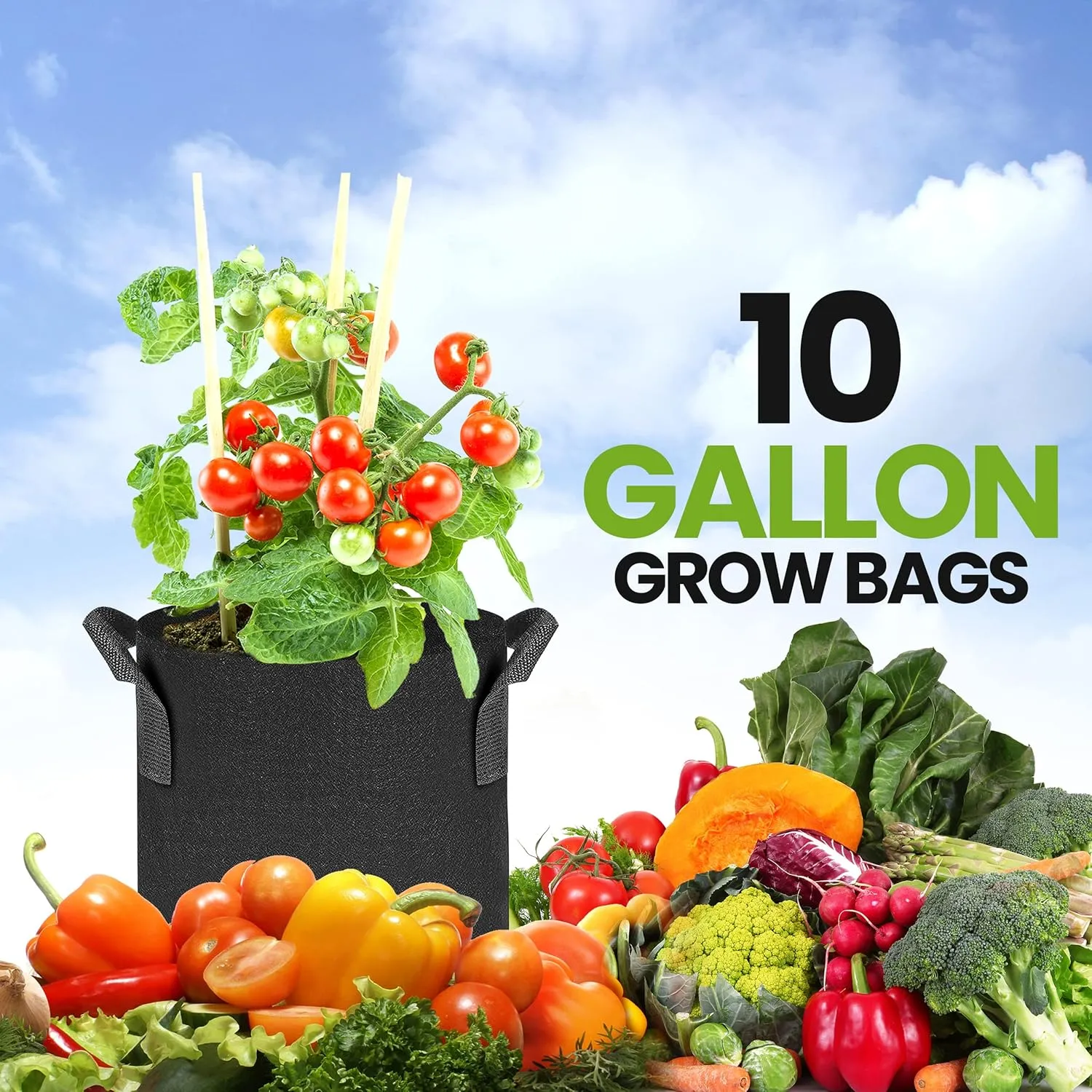 Utopia Home 10-Pack 10 Gallon Fabric Grow Bags, Heavy Duty Thickened Fabric Planters Pots, Aeration Fabric Pots with Handles, Nonwoven Fabric Bags Suitable for Vegetables Flowers Mushroom (Black)